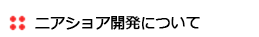 ニアショア開発について